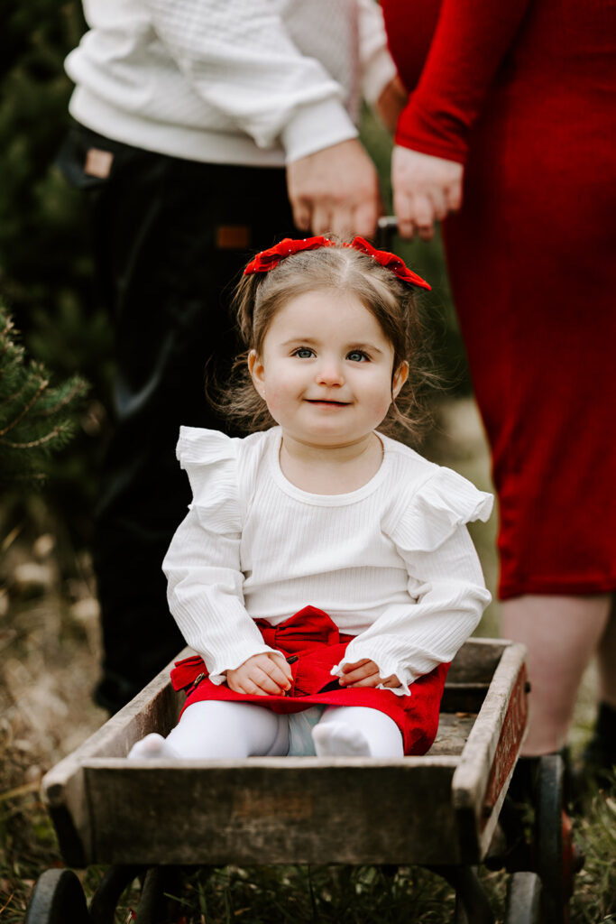 Holiday mini photo session at Chickadee Tree Farm featuring warm family moments among the Christmas trees — captured by Portraits by Kendra, Kitchener-Waterloo family photographer.