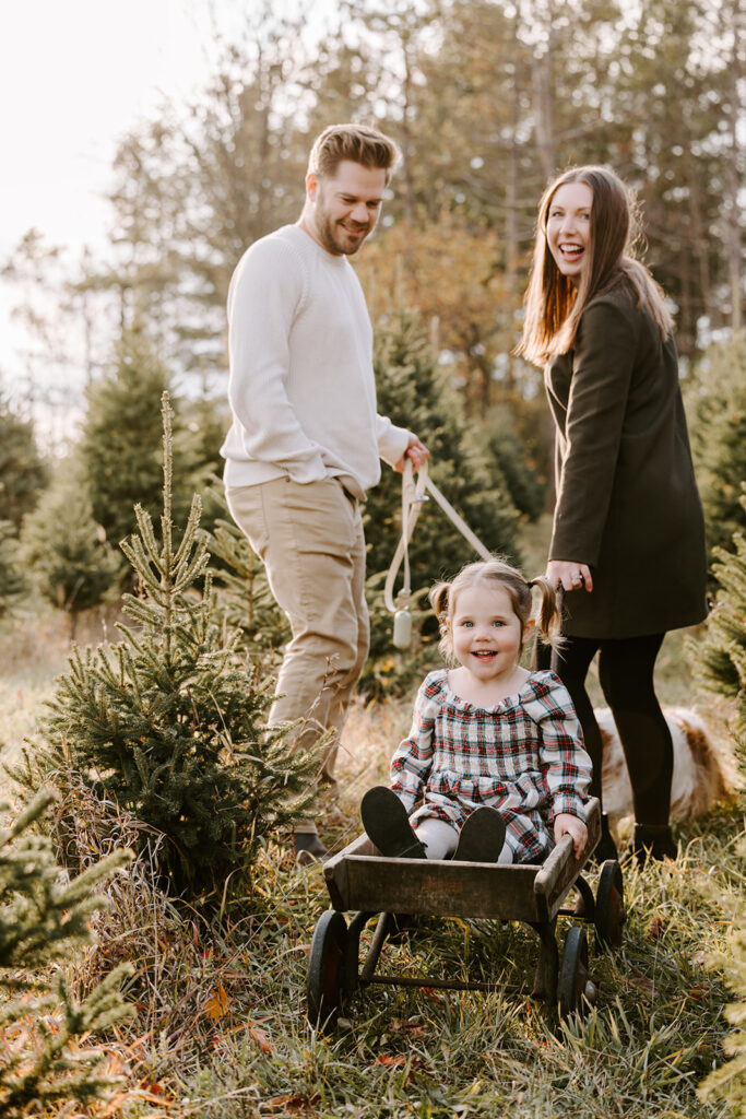 Photo of parents pulling daughter in wagon during holiday mini photo session at Chickadee Tree Farm featuring warm family moments among the Christmas trees — captured by Portraits by Kendra, Kitchener-Waterloo family photographer.