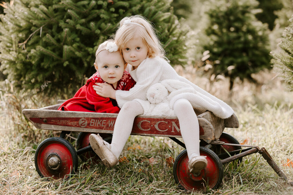 Two children sitting in a wagon during a holiday mini photo session at Chickadee Tree Farm featuring warm family moments among the Christmas trees — captured by Portraits by Kendra, Kitchener-Waterloo family photographer.