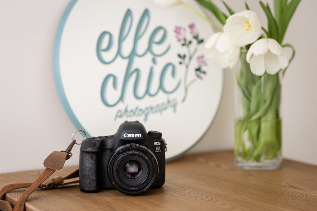 Branding photo taken by Kitchener-Waterloo photographer, Portraits by Kendra