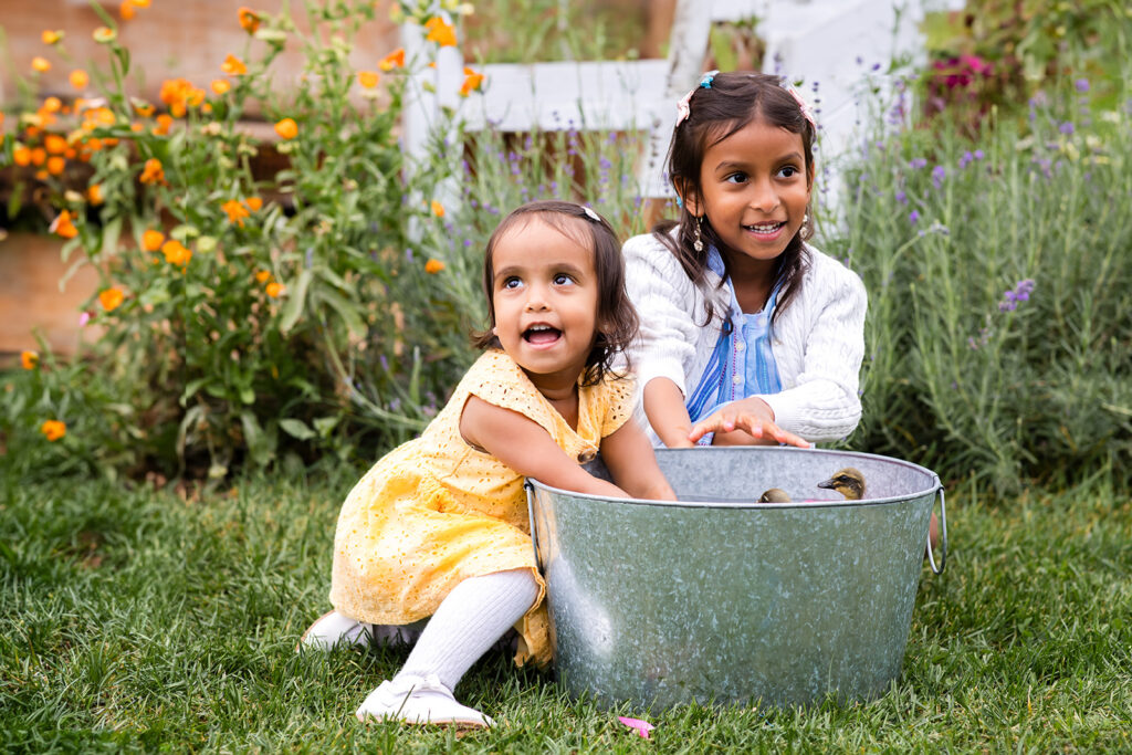 Photo of two little sisters sitting on the grass taken by Portraits by Kendra Photography in Kitchener-Waterloo