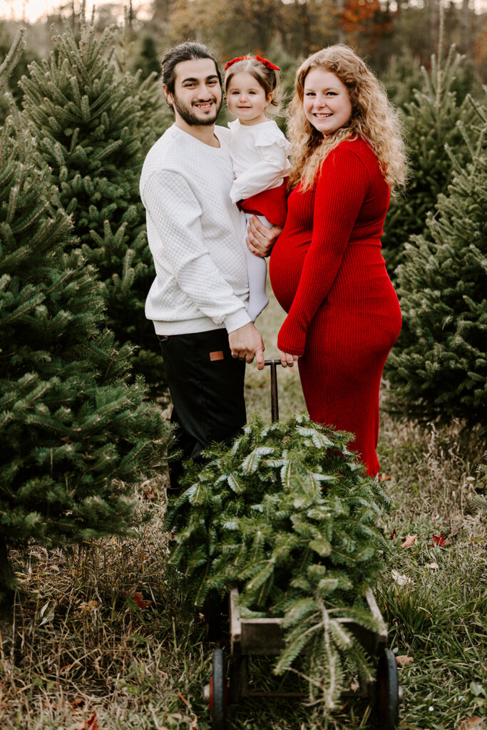 Photo of family pulling a Christmas tree at a tree farm taken by Portraits by Kendra Photography in Kitchener-Waterloo
