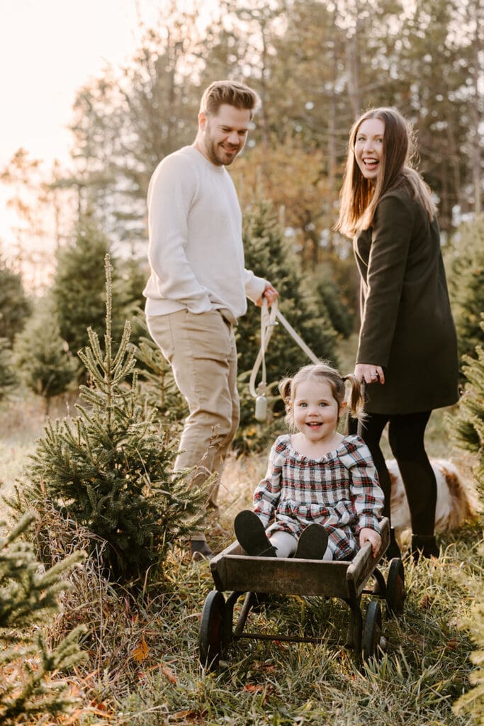 Family family photo session at tree farm, Kitchener-Waterloo family photographer.