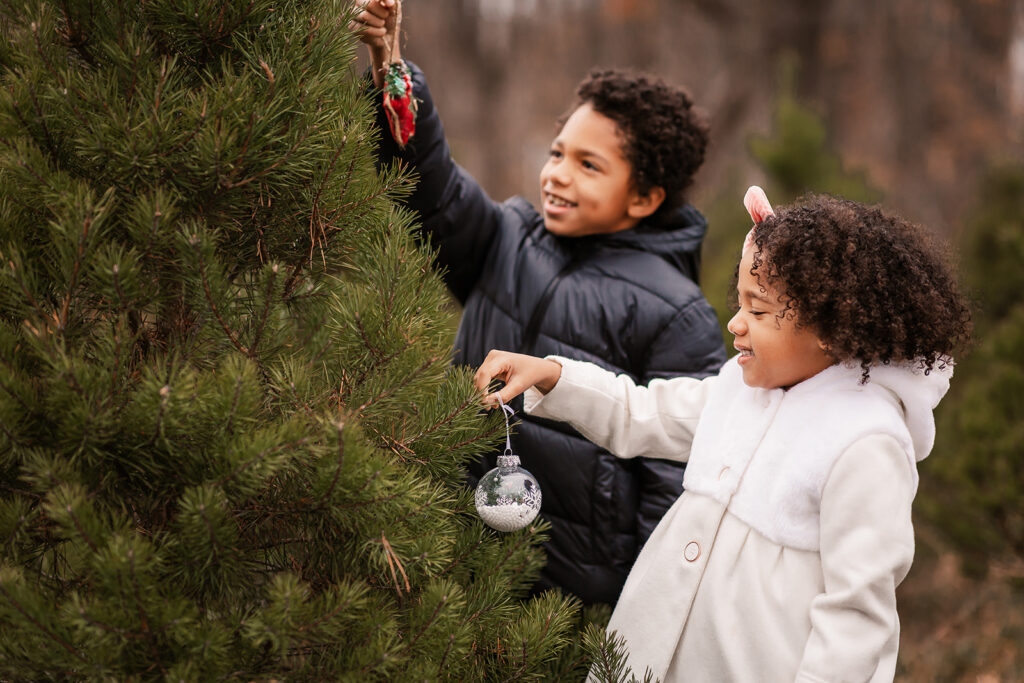 Children hanging an ornament during a holiday family photo session at Chickadee Tree Farm in Cambridge.